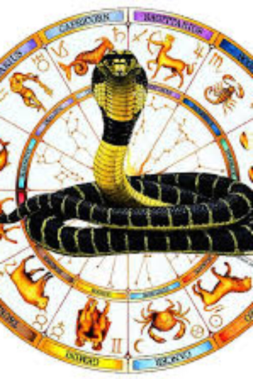 Rahu Kethu (Kalasarpa Dosha)